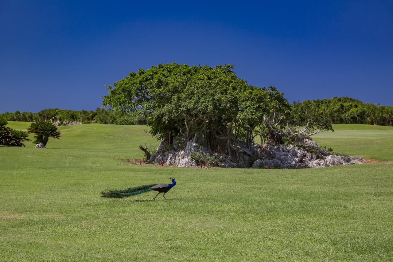 Villa Vorla Miyakojima  Εξωτερικό φωτογραφία